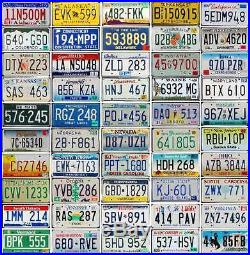 ALL 50 United States LICENSE PLATES Lot Colorful USA Tags