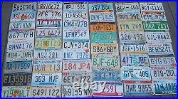 All 50 US states License plates + DC bonus Great Man Cave idea Lot of 51