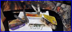 Case Xx lot of 4 Custom Pocket Knives All In N/M Condition