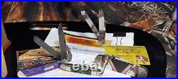 Case Xx lot of 4 Custom Pocket Knives All In N/M Condition