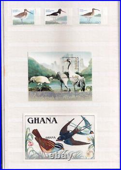 Collection Of Birds Stamps From Different Countries In Stock Book All Mnh