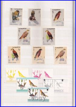 Collection Of Birds Stamps From Different Countries In Stock Book All Mnh
