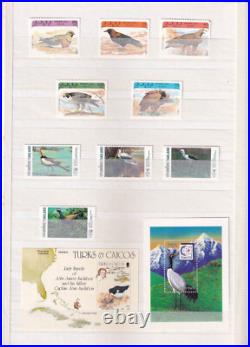 Collection Of Birds Stamps From Different Countries In Stock Book All Mnh