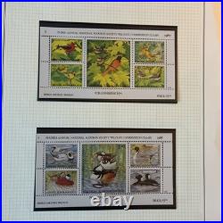 Collection Of Us Ducks All Stamps Never Hinged Mostly Blocks Four N784