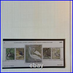 Collection Of Us Ducks All Stamps Never Hinged Mostly Blocks Four N784