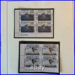 Collection Of Us Ducks All Stamps Never Hinged Mostly Blocks Four N784