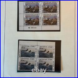 Collection Of Us Ducks All Stamps Never Hinged Mostly Blocks Four N784