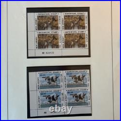 Collection Of Us Ducks All Stamps Never Hinged Mostly Blocks Four N784
