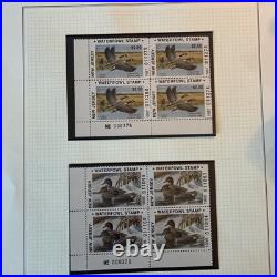 Collection Of Us Ducks All Stamps Never Hinged Mostly Blocks Four N784