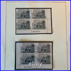 Collection Of Us Ducks All Stamps Never Hinged Mostly Blocks Four N784