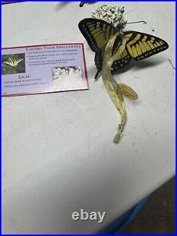 Danbury Mint Butterfly Ornament Flower Figurines 18 Items Total