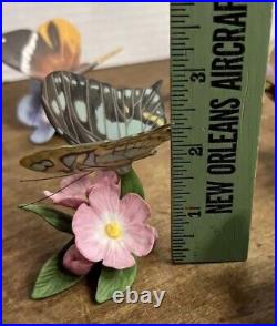 Franklin Mint Butterflies Of The World Collection Lot Of 9