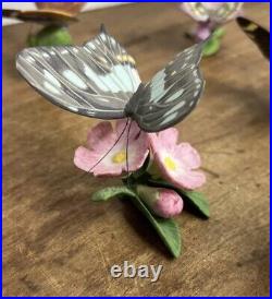 Franklin Mint Butterflies Of The World Collection Lot Of 9