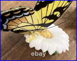 Franklin Mint Butterflies Of The World Collection Lot Of 9