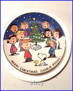 Full Set of 12 Danbury Mint Peanuts Magical Moments Collectible Plates