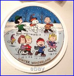 Full Set of 12 Danbury Mint Peanuts Magical Moments Collectible Plates