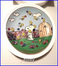 Full Set of 12 Danbury Mint Peanuts Magical Moments Collectible Plates