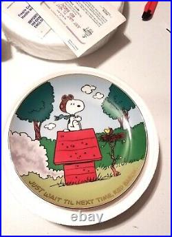 Full Set of 12 Danbury Mint Peanuts Magical Moments Collectible Plates