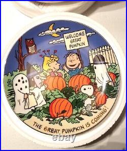 Full Set of 12 Danbury Mint Peanuts Magical Moments Collectible Plates