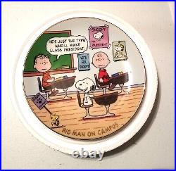 Full Set of 12 Danbury Mint Peanuts Magical Moments Collectible Plates