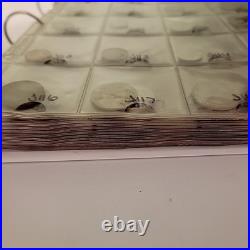 HUGE! Lot World Coin Collection Over 300 Coins All Different Countries