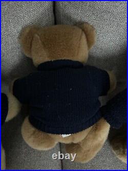 Lot Of 3 Polo Bear Plushies