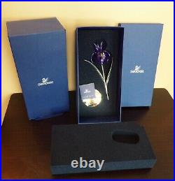 SWAROVSKI Crystal PURPLE Damboa Iris FLOWER #848449 All Orig Mint Cond