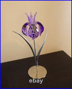 SWAROVSKI Crystal PURPLE Damboa Iris FLOWER #848449 All Orig Mint Cond