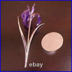 SWAROVSKI Crystal PURPLE Damboa Iris FLOWER #848449 All Orig Mint Cond