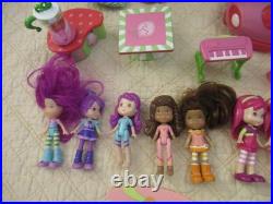 Strawberry Shortcake Toy Collection (Hasbro)