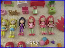 Strawberry Shortcake Toy Collection (Hasbro)