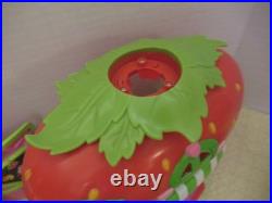 Strawberry Shortcake Toy Collection (Hasbro)