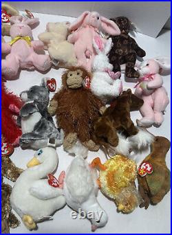 TY Beanie Babies Lot of 100 No Duplicates All Tagged Near Mint Old Collection