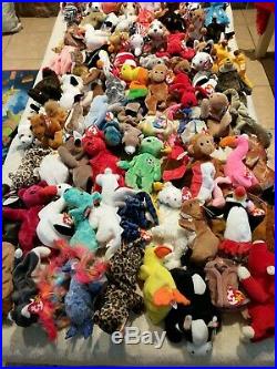 Ty Beanie Babies Lot Of 80! ALL WITH TAGS! Collectible