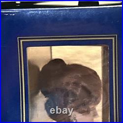 Vinyl Portrait Doll Green Tea Dress ROSE TITANIC Franklin Mint Collection