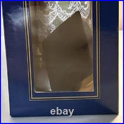 Vinyl Portrait Doll Green Tea Dress ROSE TITANIC Franklin Mint Collection