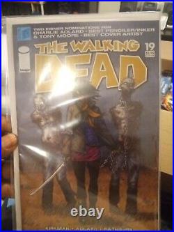 Walking Dead #19 (2005) White Pages Key 1st Michonne Kirkman Image